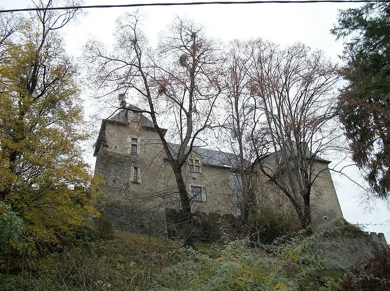 Picture of Castle - Patrice Bon - © Creative Commons (https://creativecommons.org/licenses/by-sa/4.0/deed.fr)