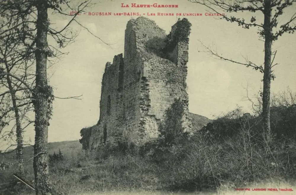 Picture of Remains of the old castle - POP Plateforme Ouverte du Patrimoine / Base Mérimée - © Ministère de la Culture (France), Médiathèque du patrimoine et de la photographie, tous droits réservés