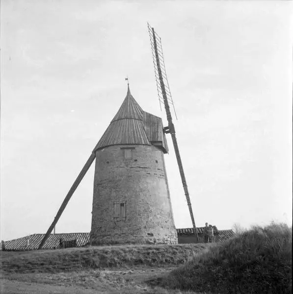 Foto von Windmühle - POP Plateforme Ouverte du Patrimoine / Base Mérimée - © Ministère de la Culture (France), Médiathèque du patrimoine et de la photographie, diffusion RMN-GP