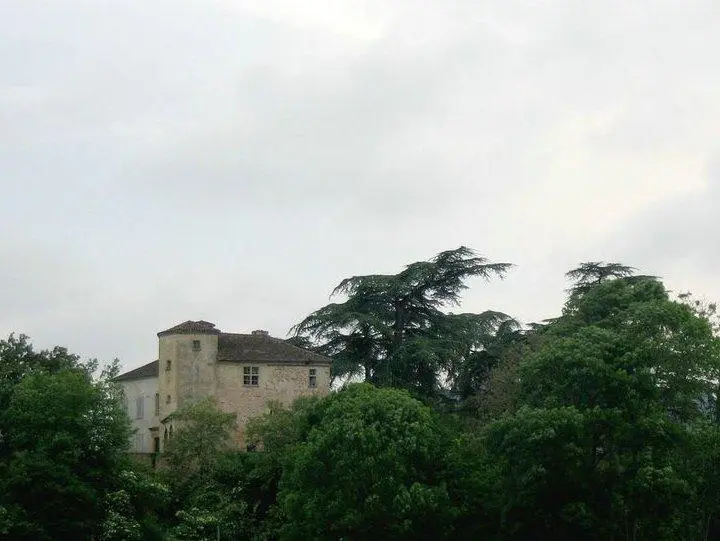 Picture of Castle - Ruotal - © Creative Commons (https://creativecommons.org/licenses/by-sa/4.0/deed.fr)