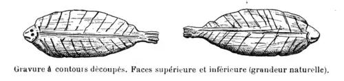 Picture of All the prehistoric caves and shelters of the Save Valley - René de Saint-Périer - © Creative Commons (https://creativecommons.org/licenses/by-sa/4.0/deed.fr)