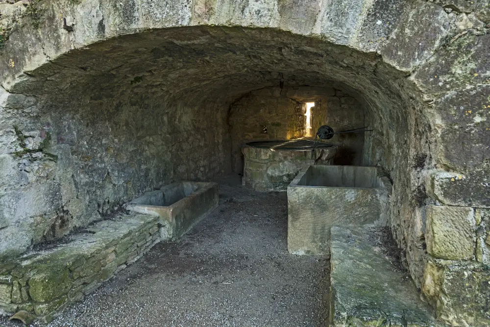 Picture of Rate of ramparts - Sous licence Creative Commons (https://creativecommons.org/licenses/by-sa/4.0/deed.fr) - Par Archaeodontosaurus - © Creative Commons (https://creativecommons.org/licenses/by-sa/4.0/deed.fr)
