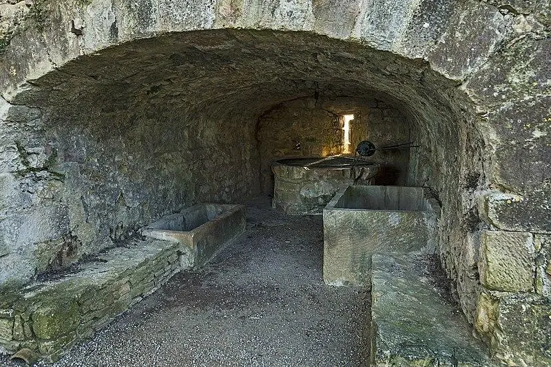 Picture of Rate of ramparts - Didier Descouens - © Creative Commons (https://creativecommons.org/licenses/by-sa/4.0/deed.fr)
