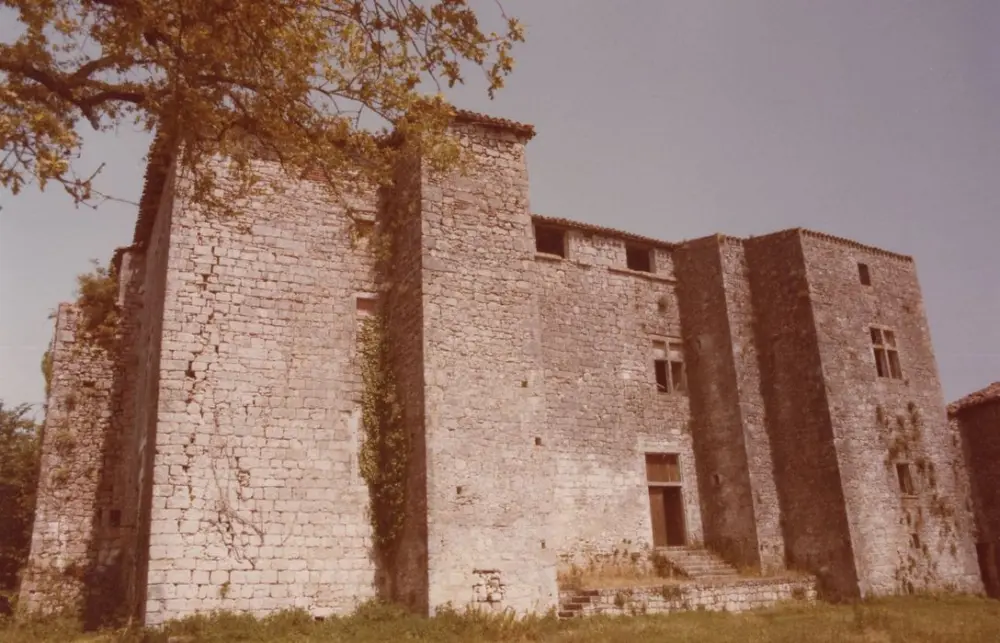 Foto di Castello - POP Plateforme Ouverte du Patrimoine / Base Mérimée - © Ministère de la Culture (France), Médiathèque du patrimoine et de la photographie, tous droits réservés