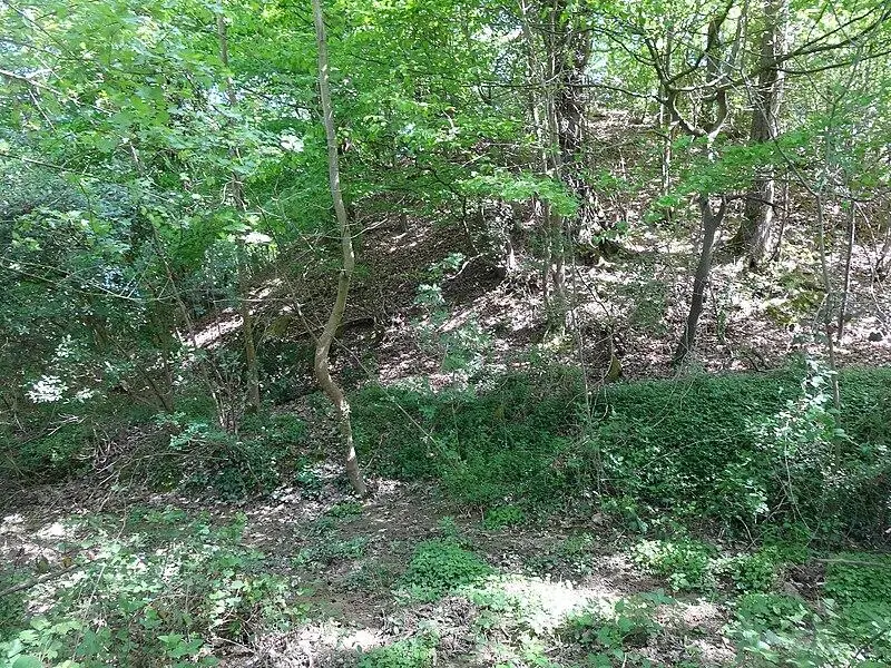 Foto von Feudal Motte namens Panassac Tuco - F123 - © Creative Commons (https://creativecommons.org/licenses/by-sa/4.0/deed.fr)