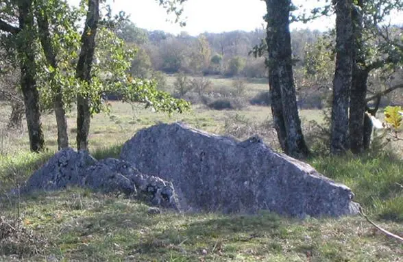 Foto von Dolmen der Ebene oder LAS Aspes - Prolepses - © Creative Commons (https://creativecommons.org/licenses/by-sa/4.0/deed.fr)