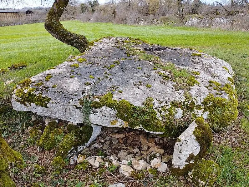Foto de Dolmen dice Pierre Levée - VKaeru - © Creative Commons (https://creativecommons.org/licenses/by-sa/4.0/deed.fr)