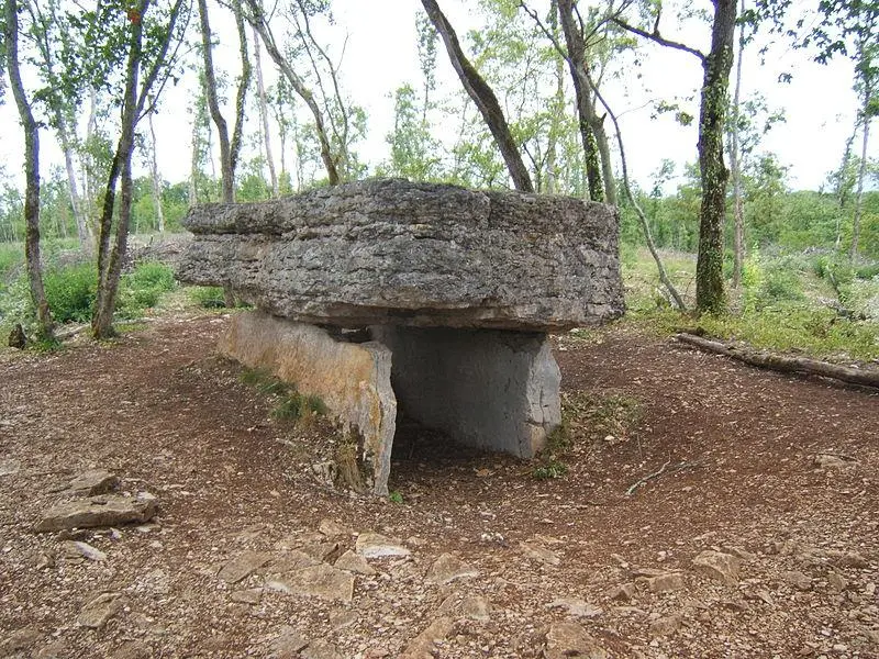 Foto von Dolmen dit aus Agarnell - Lolo12694 - © Creative Commons (https://creativecommons.org/licenses/by-sa/4.0/deed.fr)