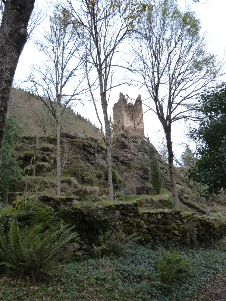 Foto di Vecchio castello - Sous licence Creative Commons (https://creativecommons.org/licenses/by-sa/4.0/deed.fr) - Par Thérèse Gaigé - © Creative Commons (https://creativecommons.org/licenses/by-sa/4.0/deed.fr)