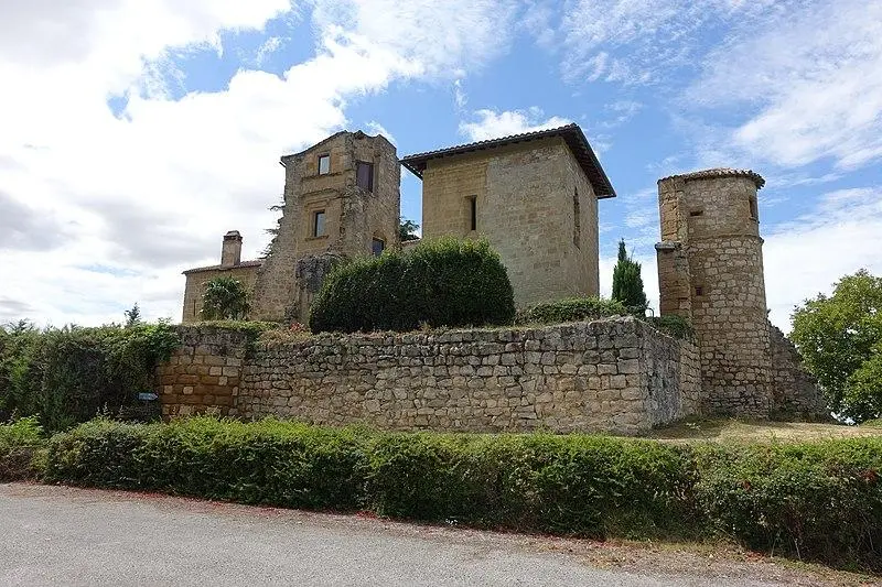 Foto di Castello di Magrin - Sylenius - © Creative Commons (https://creativecommons.org/licenses/by-sa/4.0/deed.fr)