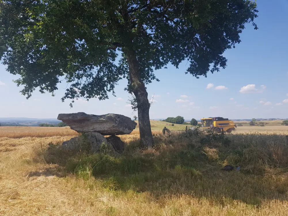 Foto von Dolmen - Sous licence Creative Commons (https://creativecommons.org/licenses/by-sa/4.0/deed.fr) - Par Ferantoutpetat - © Creative Commons (https://creativecommons.org/licenses/by-sa/4.0/deed.fr)