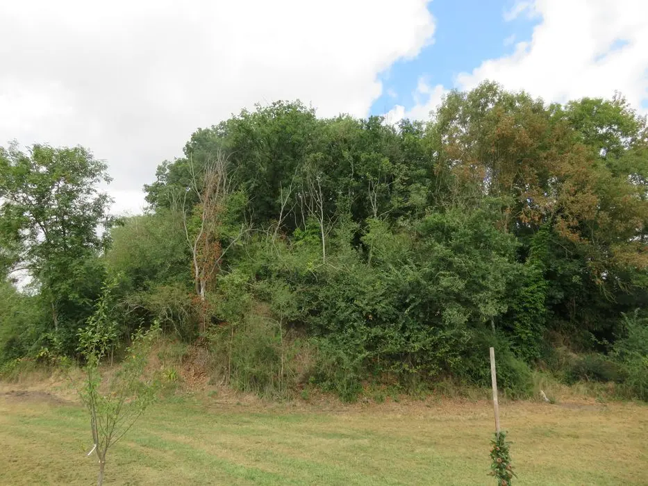 Foto von Motte Castral mit ihrem Graben - POP Plateforme Ouverte du Patrimoine / Base Mérimée - © Ministère de la Culture (France), Direction Régionale des Affaires Culturelles du Centre-Val de Loire, tous droits réservés