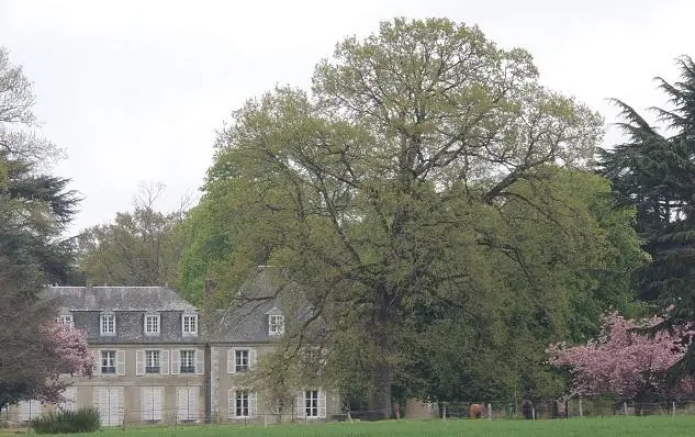 Foto von Château de Bouthonvilliers - Grefeuille - © Creative Commons (https://creativecommons.org/licenses/by-sa/4.0/deed.fr)