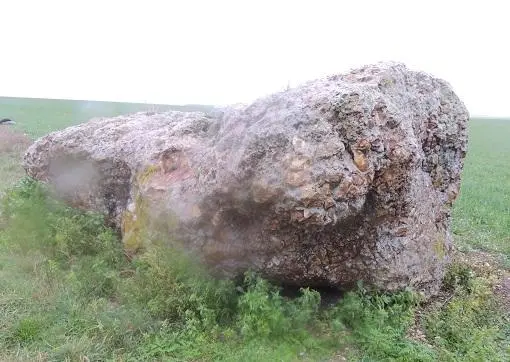 Foto de Dolmen bajo tumulus - Grefeuille - © Creative Commons (https://creativecommons.org/licenses/by-sa/4.0/deed.fr)