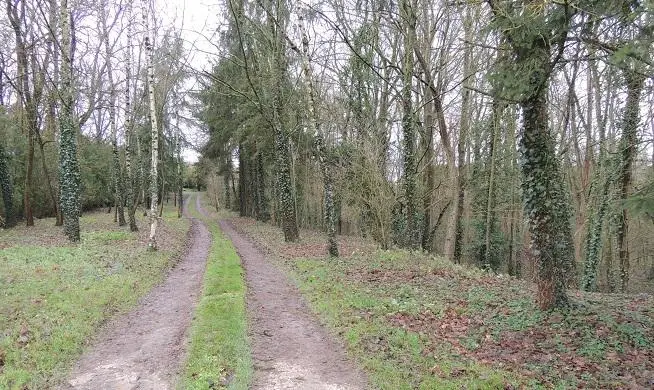 Foto de Motte castral - Grefeuille - © Creative Commons (https://creativecommons.org/licenses/by-sa/4.0/deed.fr)