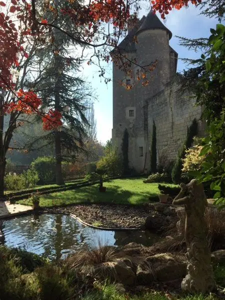 Picture of Remains of the castle - Mairieazaysurcher - © Creative Commons (https://creativecommons.org/licenses/by-sa/4.0/deed.fr)