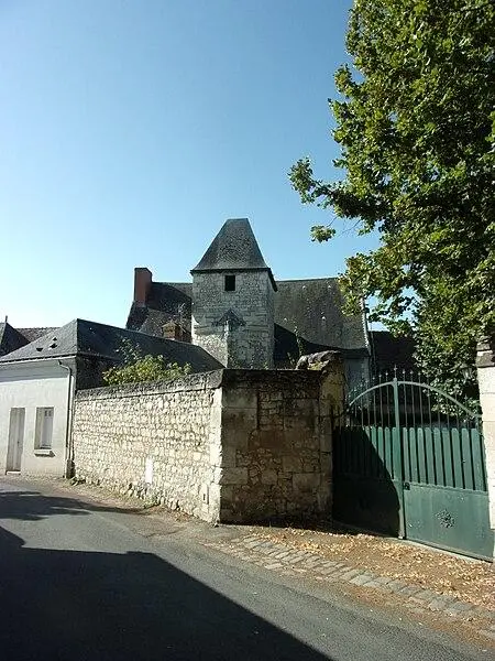 Foto de Manio - Joël Thibault - © Creative Commons (https://creativecommons.org/licenses/by-sa/4.0/deed.fr)