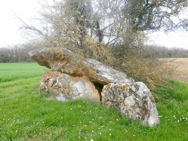 Foto von Dolmen sagt Chillon von der Flugblätter - Joël Thibault - © Creative Commons (https://creativecommons.org/licenses/by-sa/4.0/deed.fr)