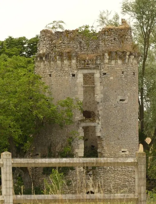 Picture of Ruins of the castle of Fontenay-Isoré - POP Plateforme Ouverte du Patrimoine / Base Mérimée - © Ministère de la Culture (France), Conservation des antiquités et des objets d’art d'Indre-et-Loire - Tous droits réservés