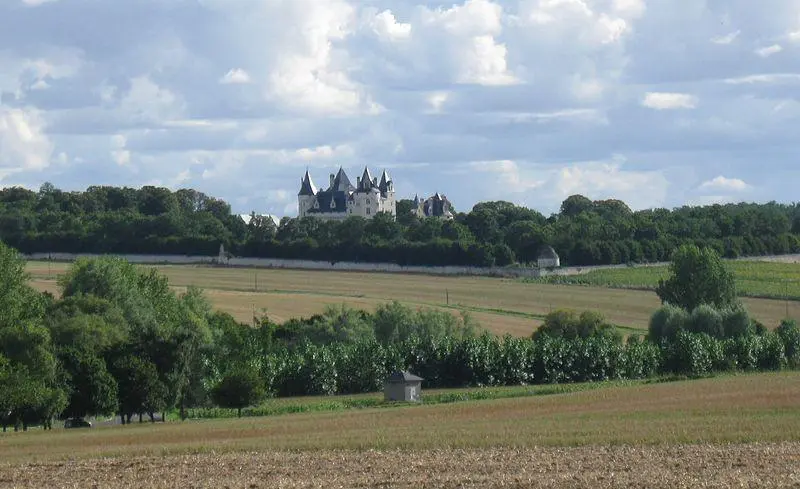 Picture of Domaine de Montpensier or Coudray-Montpensier - Thor19 - © Creative Commons (https://creativecommons.org/licenses/by-sa/4.0/deed.fr)