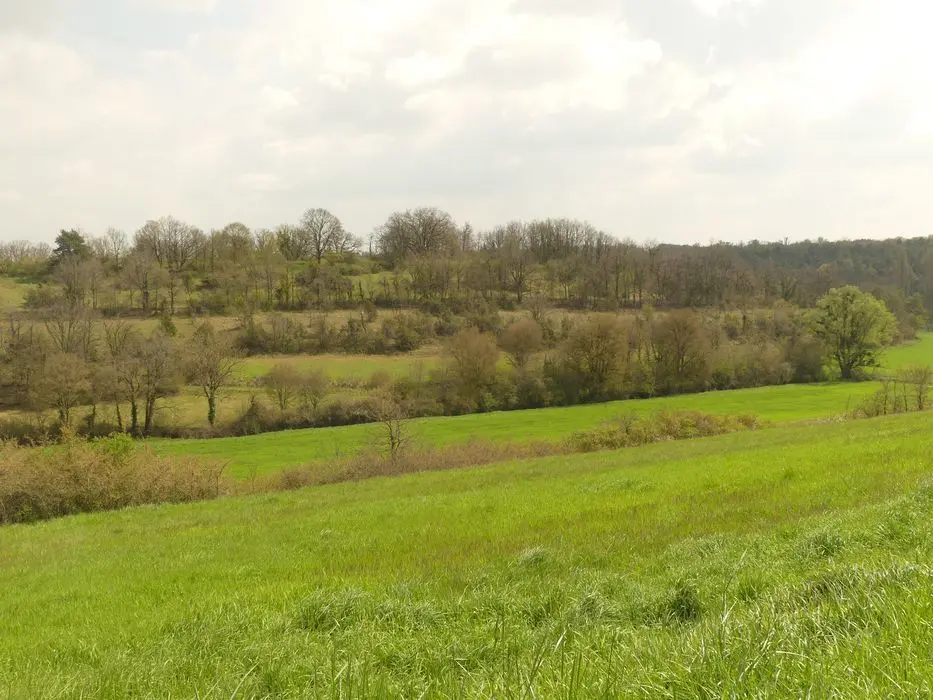 Foto de El campamento prehistórico dice el montículo de Murat - POP Plateforme Ouverte du Patrimoine / Base Mérimée - © Ministère de la Culture (France), Conservation des antiquités et des objets d’art d'Indre-et-Loire - Tous droits réservés