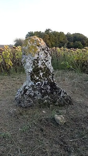 Foto de Dolmen - Kelson - © Creative Commons (https://creativecommons.org/licenses/by-sa/4.0/deed.fr)