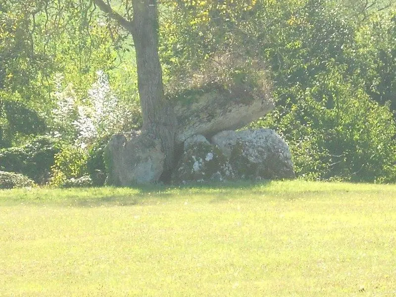 Foto von Dolmen des Grüns - Antonio d'Orleans - © Creative Commons (https://creativecommons.org/licenses/by-sa/4.0/deed.fr)