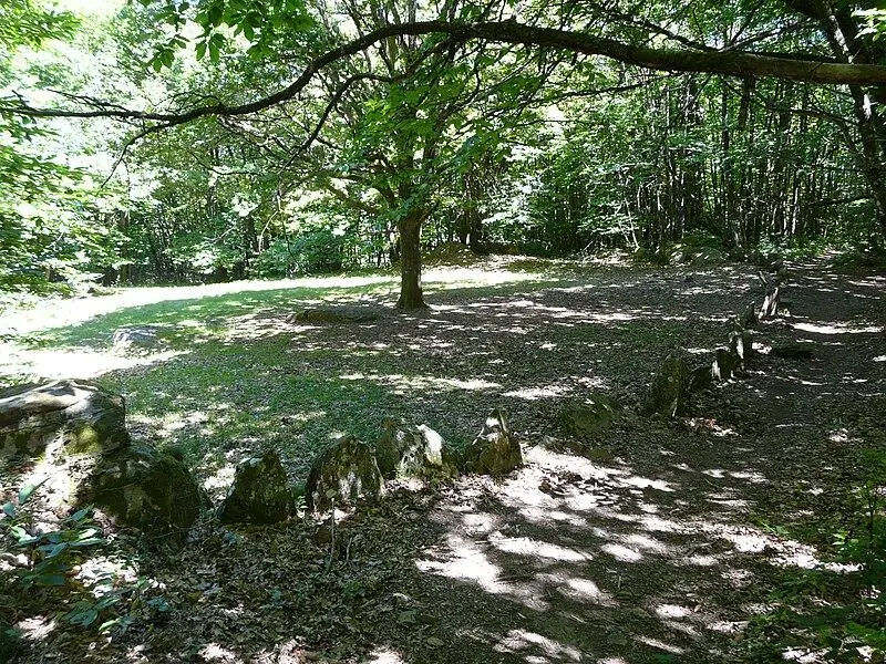 Picture of Cromlech du Puy de Pauliac - Père Igor - © Creative Commons (https://creativecommons.org/licenses/by-sa/4.0/deed.fr)