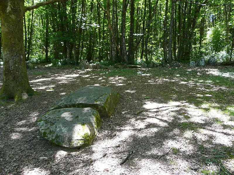 Foto von Cromlech du Puy de Pauliac - Père Igor - © Creative Commons (https://creativecommons.org/licenses/by-sa/4.0/deed.fr)