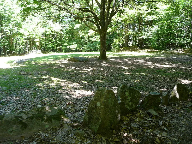 Foto von Cromlech du Puy de Pauliac - Père Igor - © Creative Commons (https://creativecommons.org/licenses/by-sa/4.0/deed.fr)
