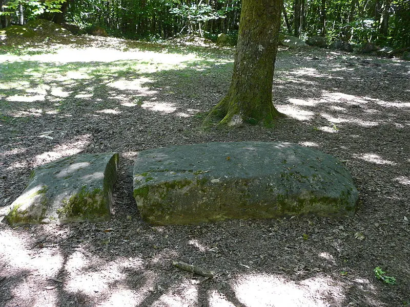 Foto von Cromlech du Puy de Pauliac - Père Igor - © Creative Commons (https://creativecommons.org/licenses/by-sa/4.0/deed.fr)