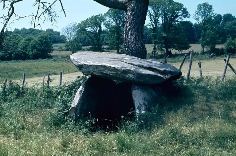 Picture of Dolmen says the fairy hut - POP Plateforme Ouverte du Patrimoine / Base Mérimée - © Ministère de la culture