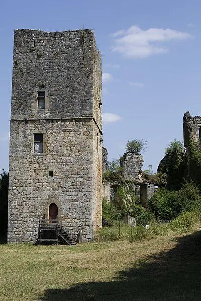 Foto von Couzages Castle - Pymouss - © Creative Commons (https://creativecommons.org/licenses/by-sa/4.0/deed.fr)