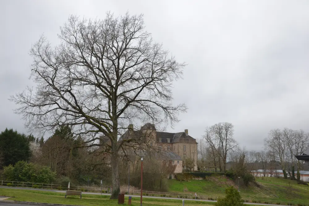 Foto von Cosnac Castle - Sous licence Creative Commons (https://creativecommons.org/licenses/by-sa/4.0/deed.fr) - Par Marianne Casamance - © Creative Commons (https://creativecommons.org/licenses/by-sa/4.0/deed.fr)