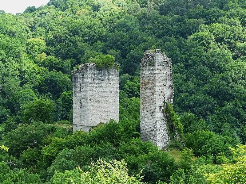 Picture of Ruins of carbonnières towers - Père Igor - © Creative Commons (https://creativecommons.org/licenses/by-sa/4.0/deed.fr)