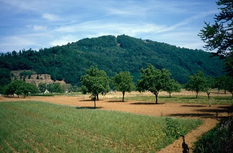 Foto von Gallische Befestigung der Puy-du-Tour - POP Plateforme Ouverte du Patrimoine / Base Mérimée - © Ministère de la culture