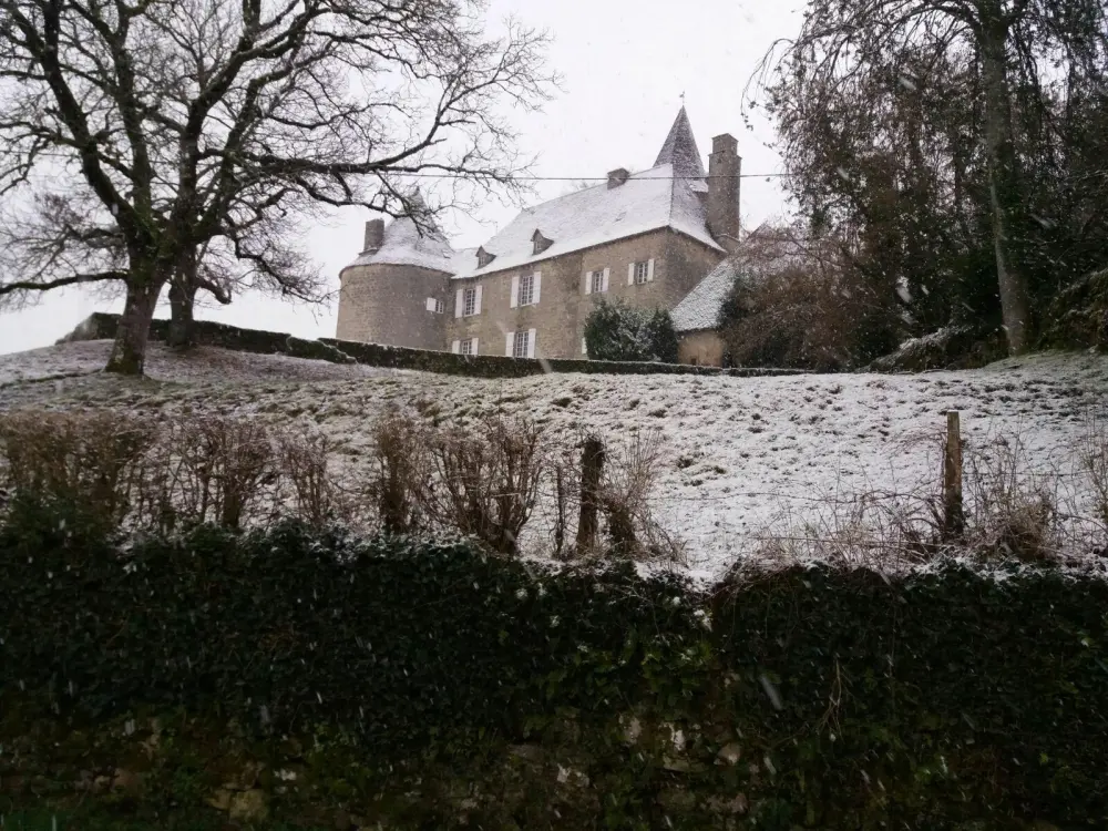 Picture of Château du Rieux - Sous licence Creative Commons (https://creativecommons.org/licenses/by-sa/4.0/deed.fr) - Par Viaceslav Grecucha - © Creative Commons (https://creativecommons.org/licenses/by-sa/4.0/deed.fr)