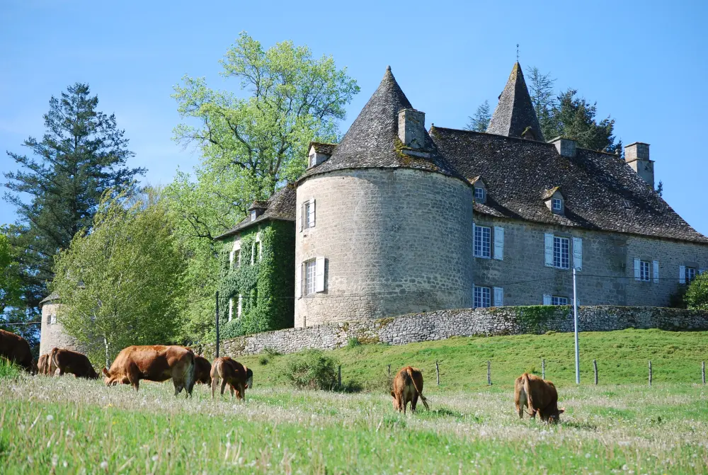 Picture of Château du Rieux - Sous licence Creative Commons (https://creativecommons.org/licenses/by-sa/4.0/deed.fr) - Par Teuls - © Creative Commons (https://creativecommons.org/licenses/by-sa/4.0/deed.fr)