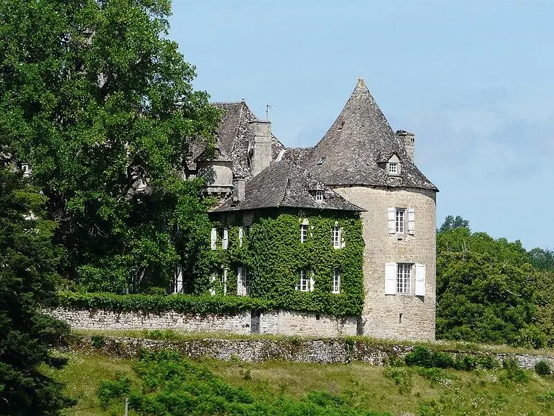 Foto von Château du Rieux - Père Igor - © Creative Commons (https://creativecommons.org/licenses/by-sa/4.0/deed.fr)
