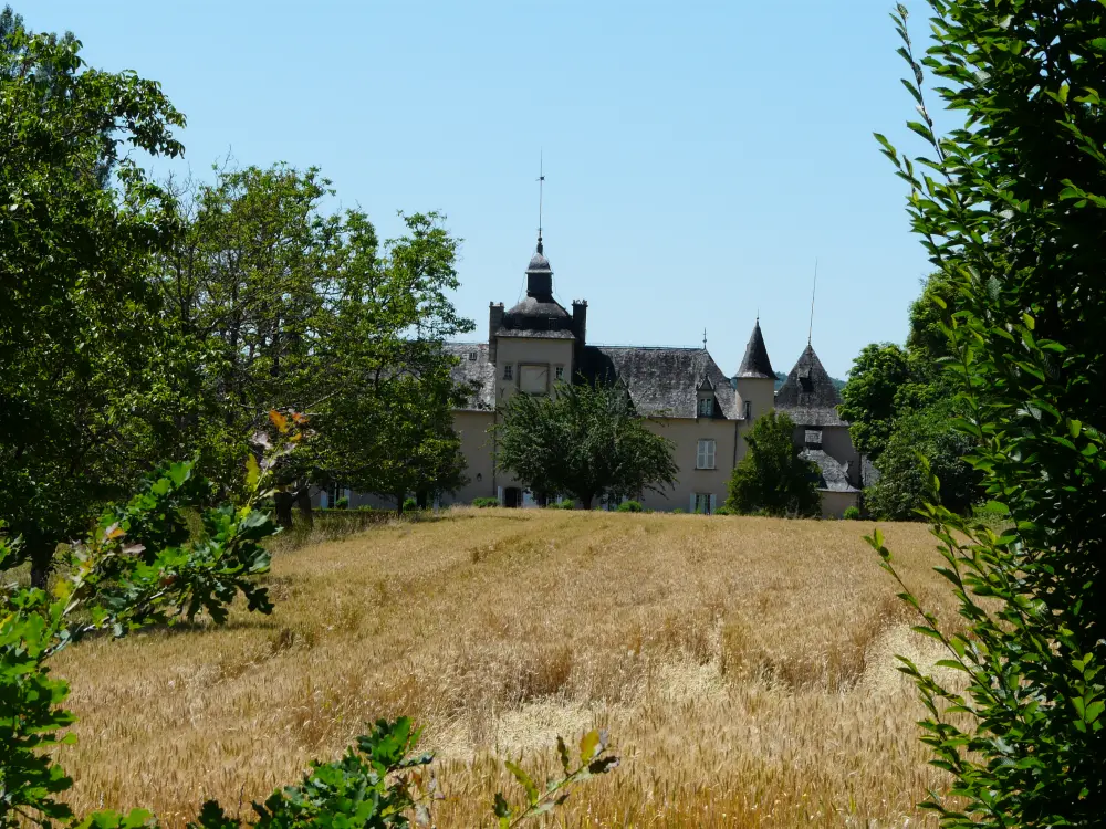 Foto di Château de la Morguie - Sous licence Creative Commons (https://creativecommons.org/licenses/by-sa/4.0/deed.fr) - Par Père Igor - © Creative Commons (https://creativecommons.org/licenses/by-sa/4.0/deed.fr)
