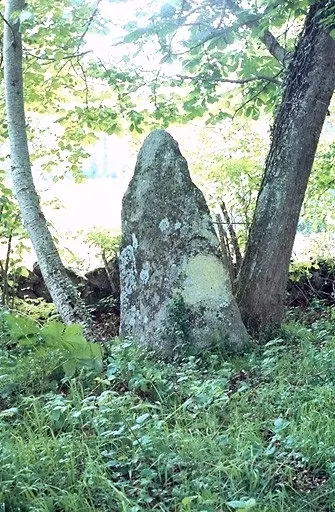 Foto di Menhir dice la donna donna - POP Plateforme Ouverte du Patrimoine / Base Mérimée - © Ministère de la culture