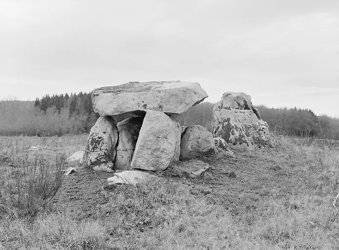 Foto von Dolmen Nr. 1 des Masneuf - POP Plateforme Ouverte du Patrimoine / Base Mérimée - © Ministère de la culture