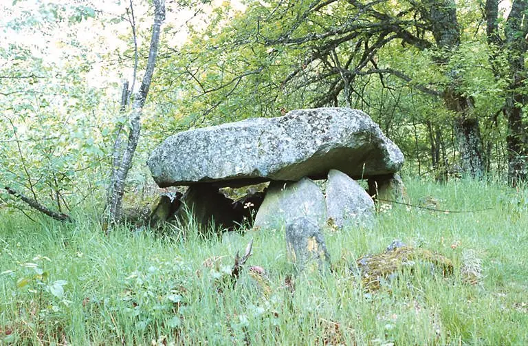 Picture of Dolmen of Pierre-sous-Pèze - POP Plateforme Ouverte du Patrimoine / Base Mérimée - © Ministère de la culture