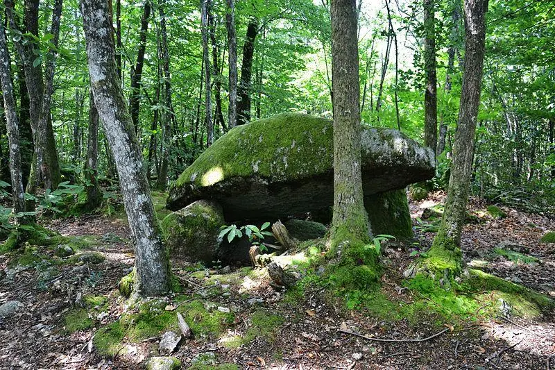 Picture of Dolmen - Babsy - © Creative Commons (https://creativecommons.org/licenses/by-sa/4.0/deed.fr)