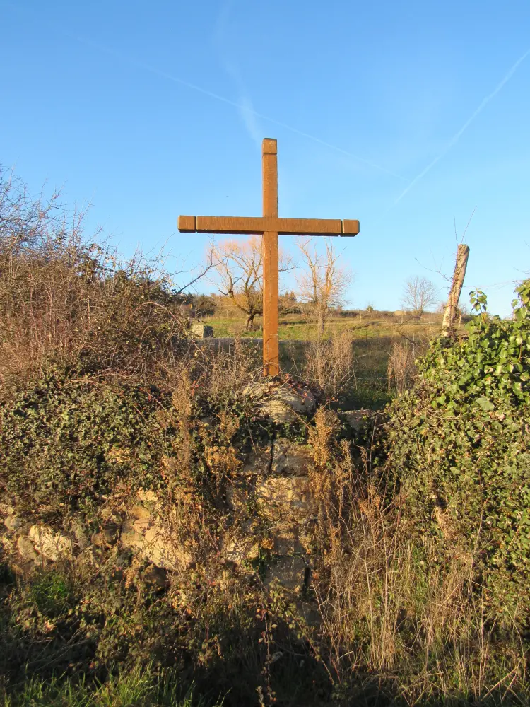 Foto de Cruzado llamado boj o comerciante - Sous licence Creative Commons (https://creativecommons.org/licenses/by-sa/4.0/deed.fr) - Par FredSeiller - © Creative Commons (https://creativecommons.org/licenses/by-sa/4.0/deed.fr)