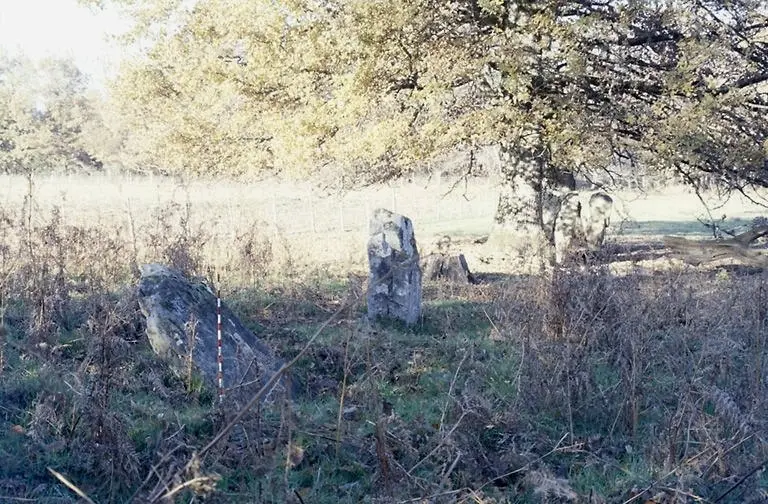 Foto von Ausrichtung aus vier Menhirs, die als Vorbereitungswiese bezeichnet werden - POP Plateforme Ouverte du Patrimoine / Base Mérimée - © Ministère de la culture