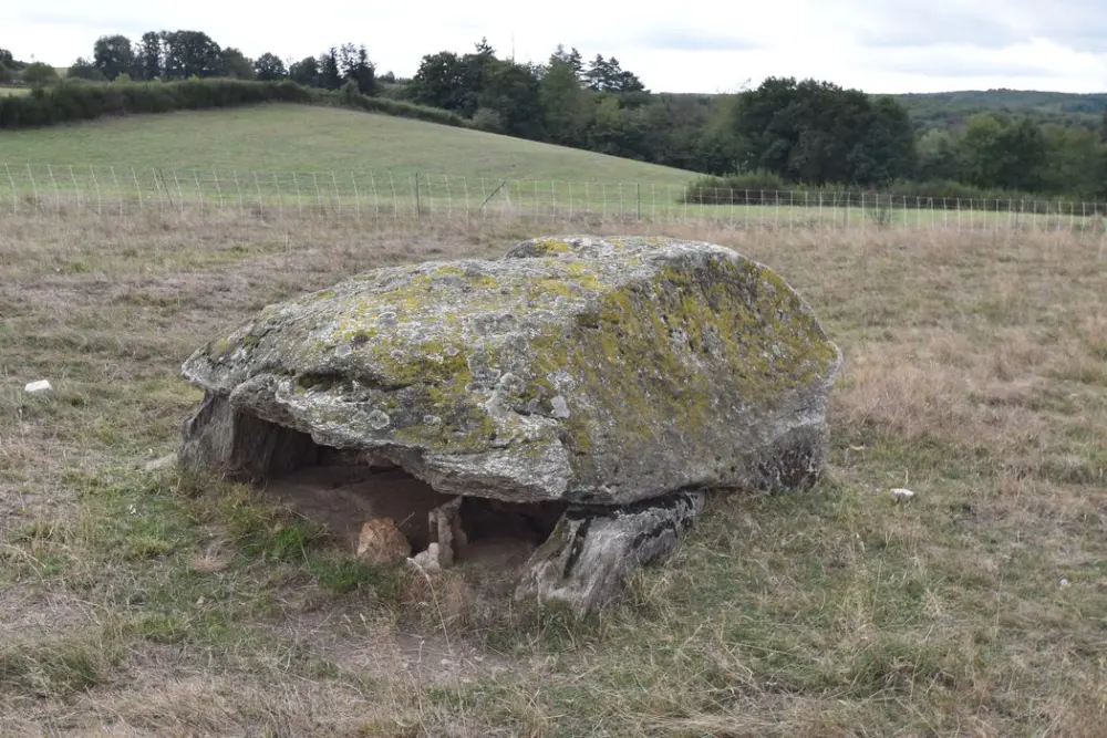 Foto von Dolmen von Sainte-Marie - POP Plateforme Ouverte du Patrimoine / Base Mérimée - © Ministère de la Culture (France), Médiathèque du patrimoine et de la photographie, diffusion GrandPalaisRmn Photo