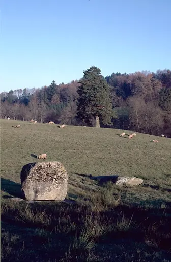 Foto von Menhirs 1 und 2 des Metayers - POP Plateforme Ouverte du Patrimoine / Base Mérimée - © Ministère de la culture