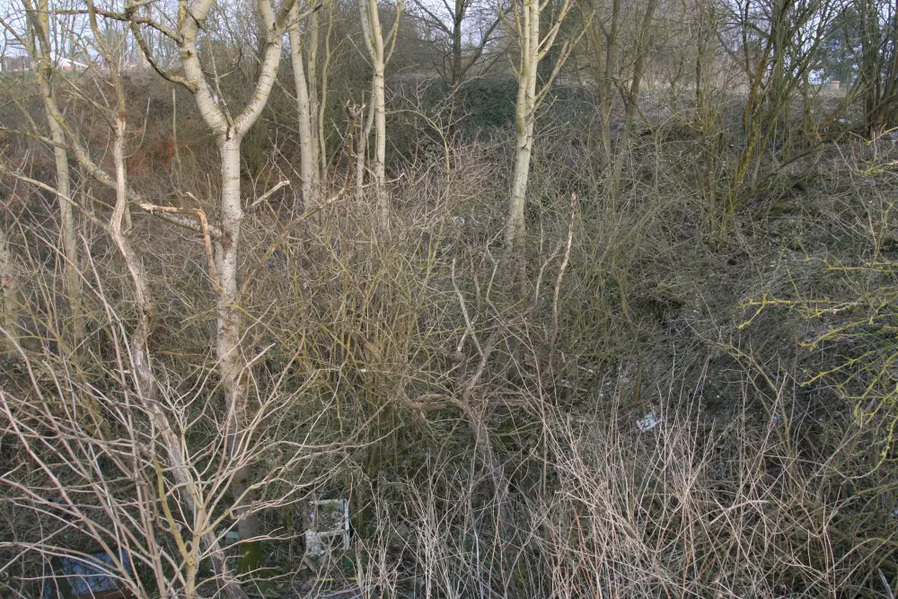 Picture of Prehistoric deposit - Sous licence Creative Commons (https://creativecommons.org/licenses/by-sa/4.0/deed.fr) - Par Pymouss - © Creative Commons (https://creativecommons.org/licenses/by-sa/4.0/deed.fr)