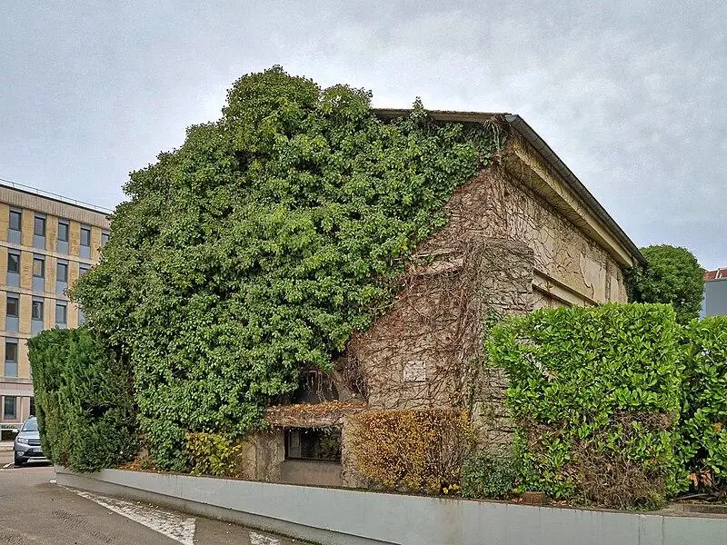 Foto von Kapitulärkapelle von Saint-Paul (Überreste der alten) - JGS25 - © Creative Commons (https://creativecommons.org/licenses/by-sa/4.0/deed.fr)